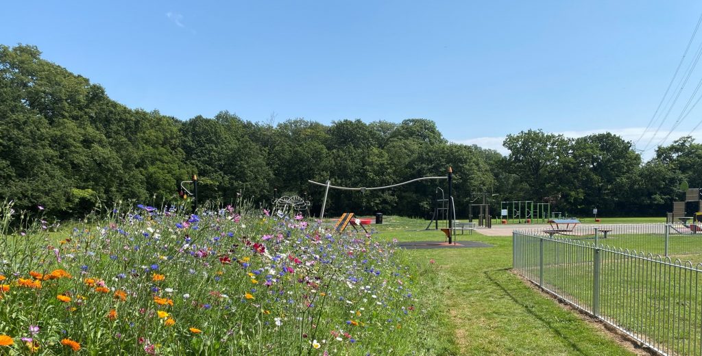 Woodbury Field Play Area